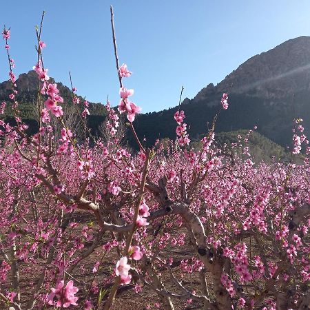 Apartamento Tranquilo Cerca De Zonas Verdes Cieza Luaran gambar