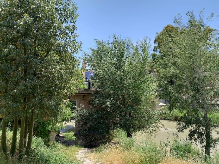 Apartamento Tranquilo Cerca De Zonas Verdes Cieza Luaran gambar