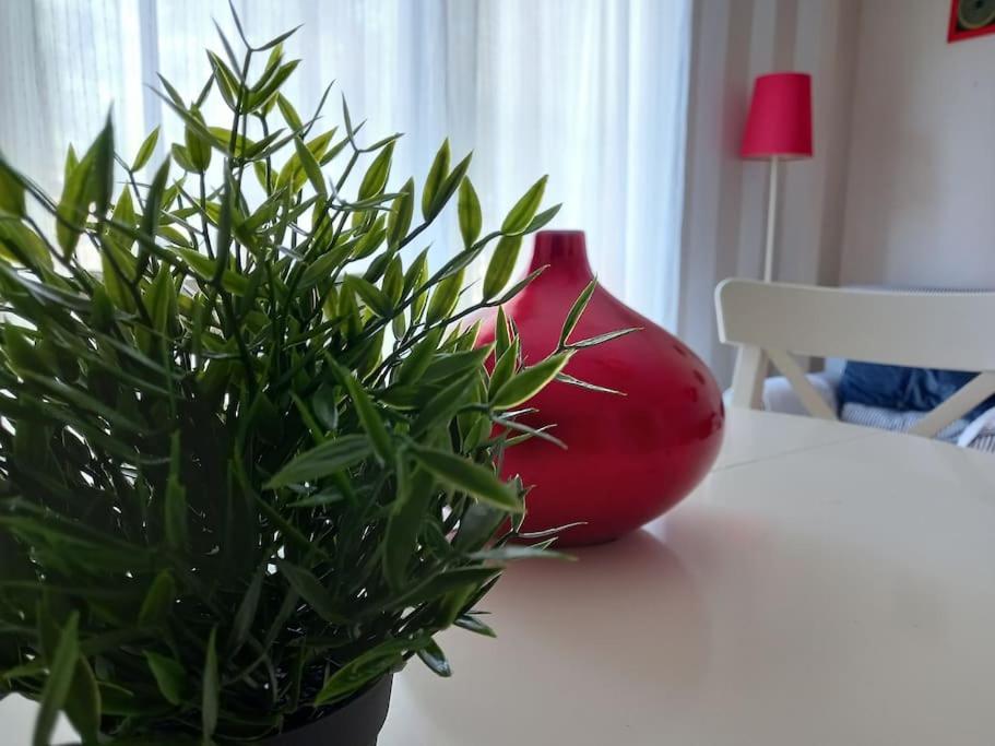 Apartamento Tranquilo Cerca De Zonas Verdes Cieza Luaran gambar